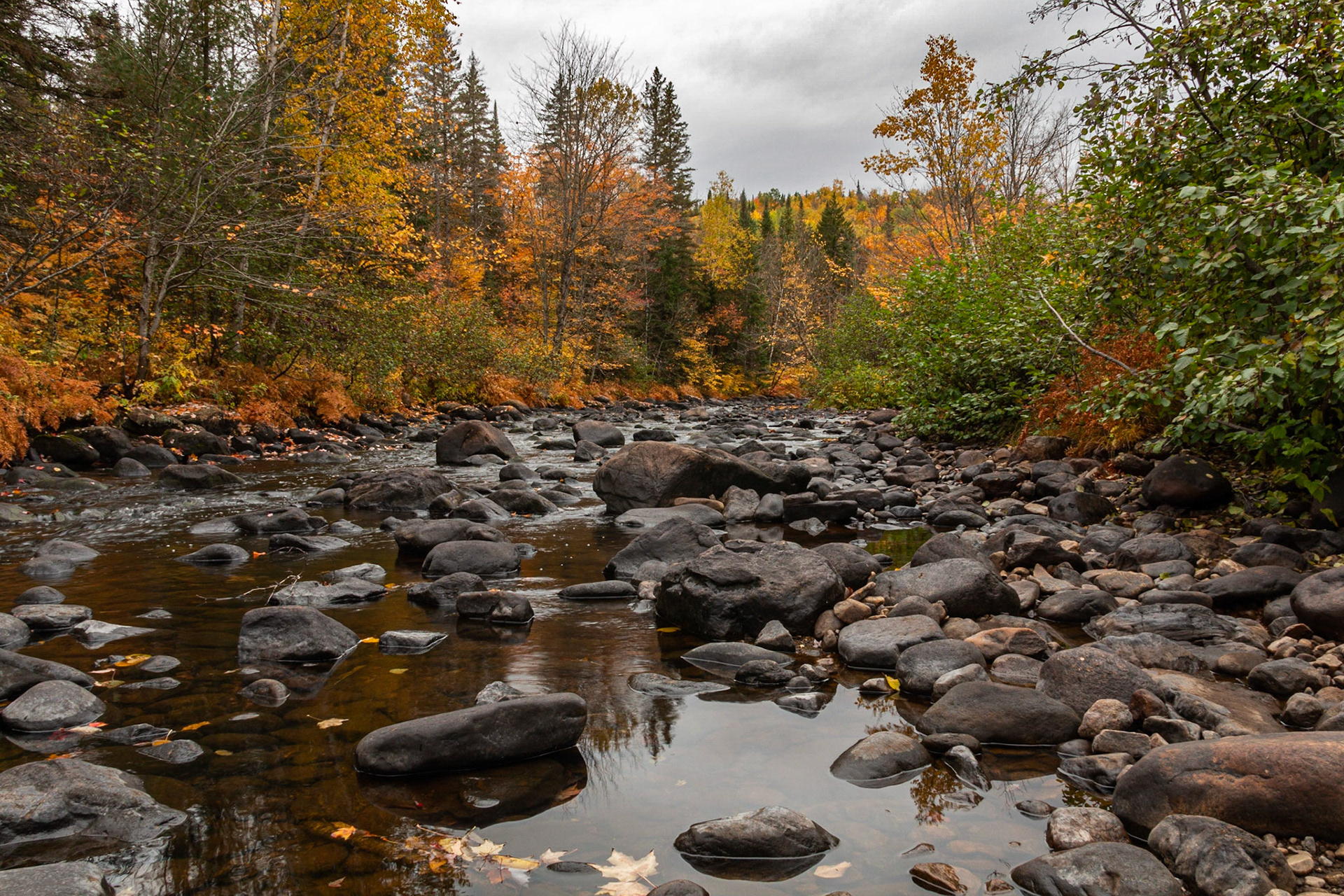 Rivière Noire