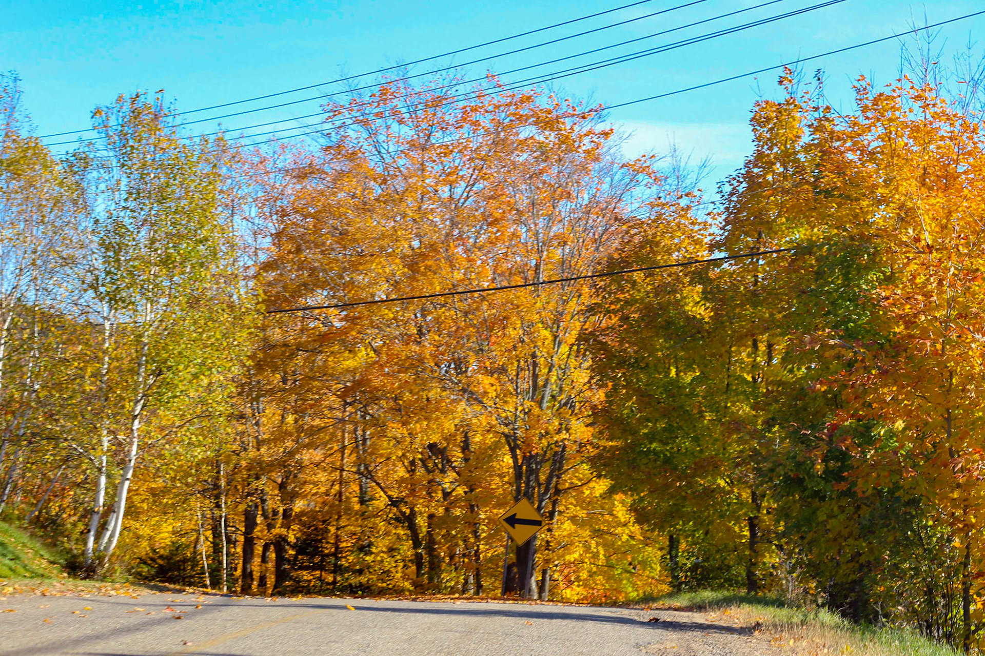 Automne 2016