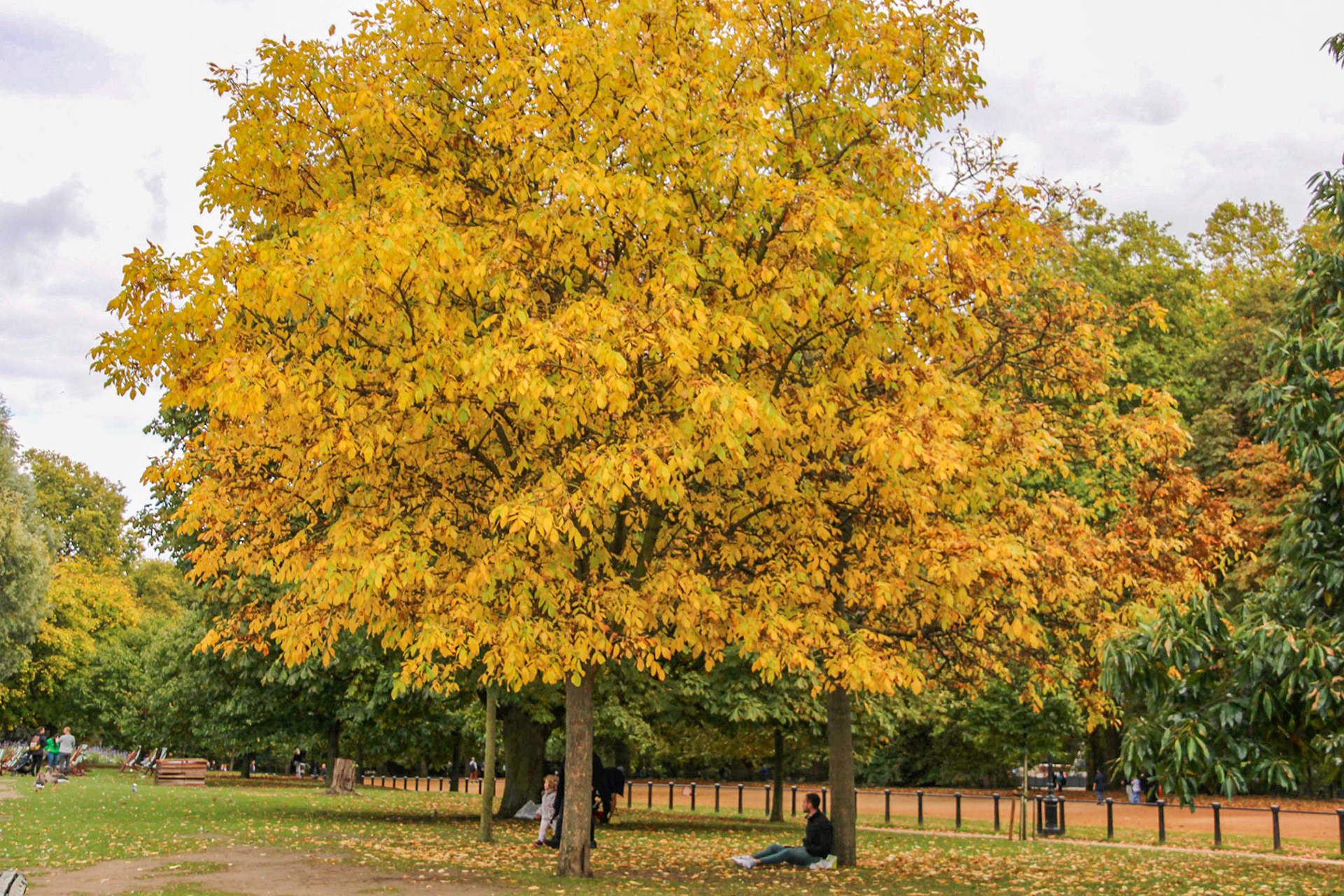 Hyde Park