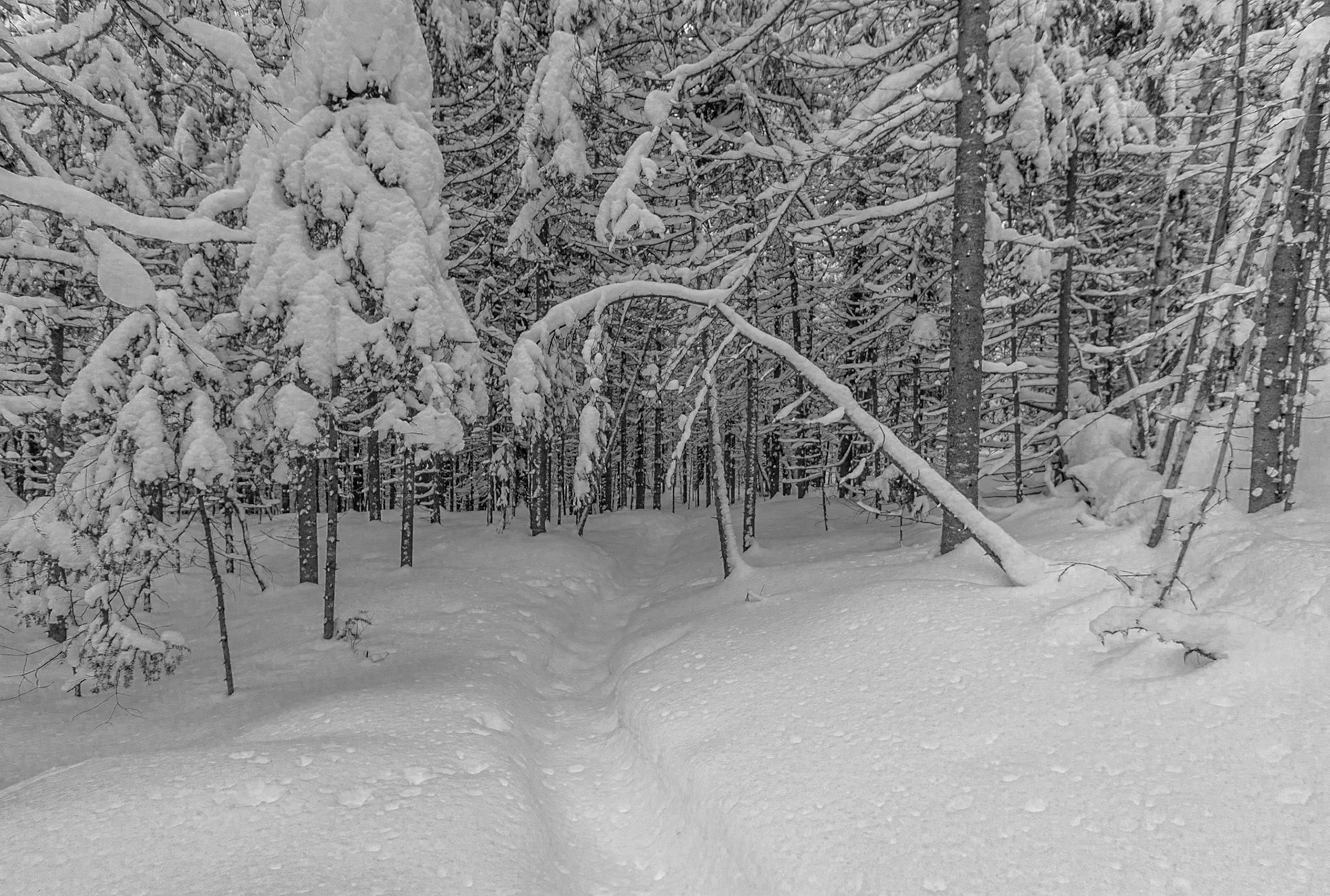 Parc Régional du Lac Taureau