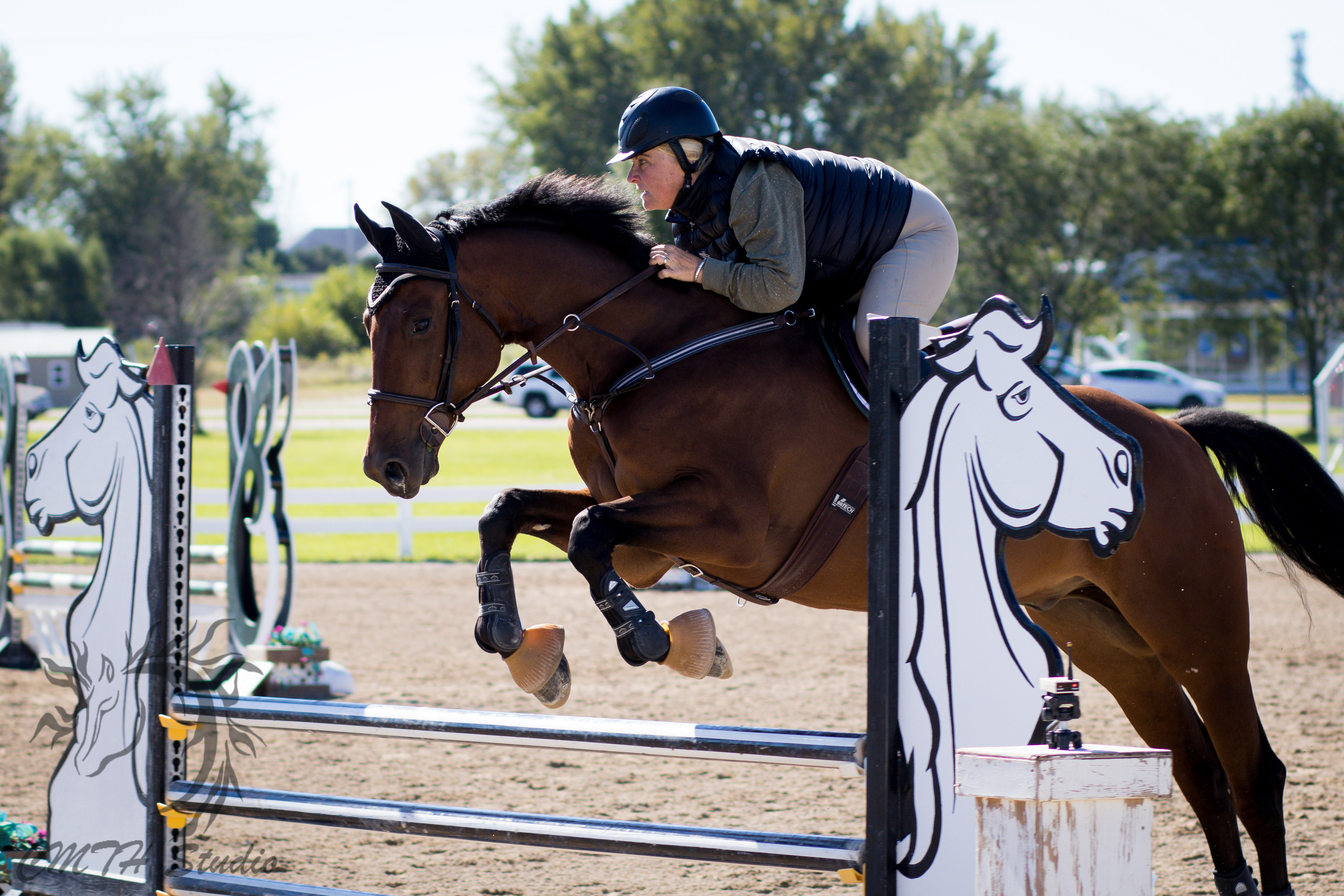 Essay about western pleasure vs hunter jumpers 05 picture