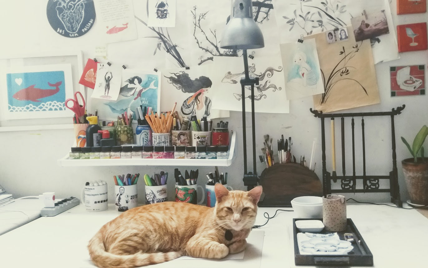 Gato-de-estúdio