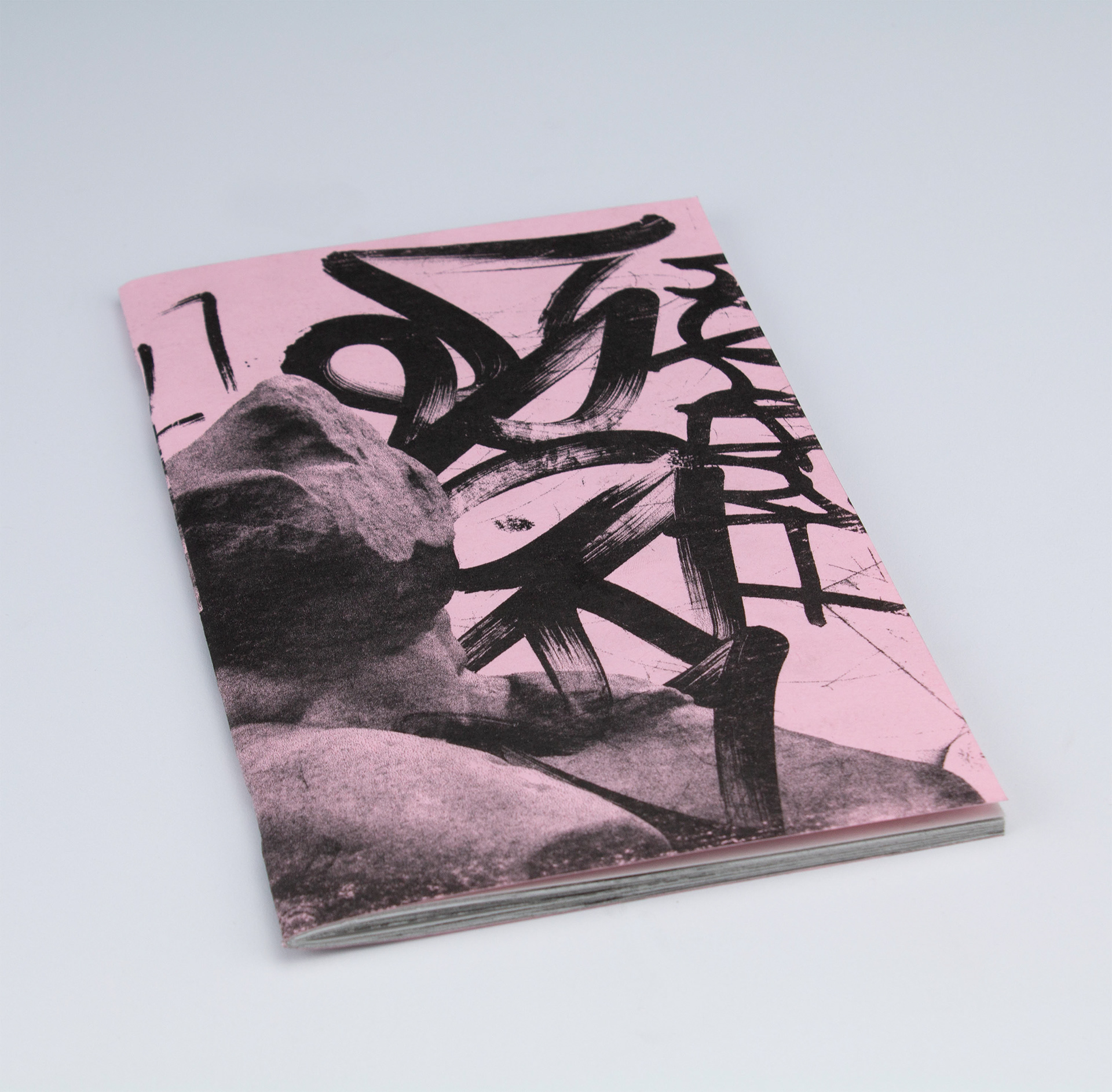 "SEVERAL DETAILS.," Riso book, 8.25 x 5.25 in., 2020