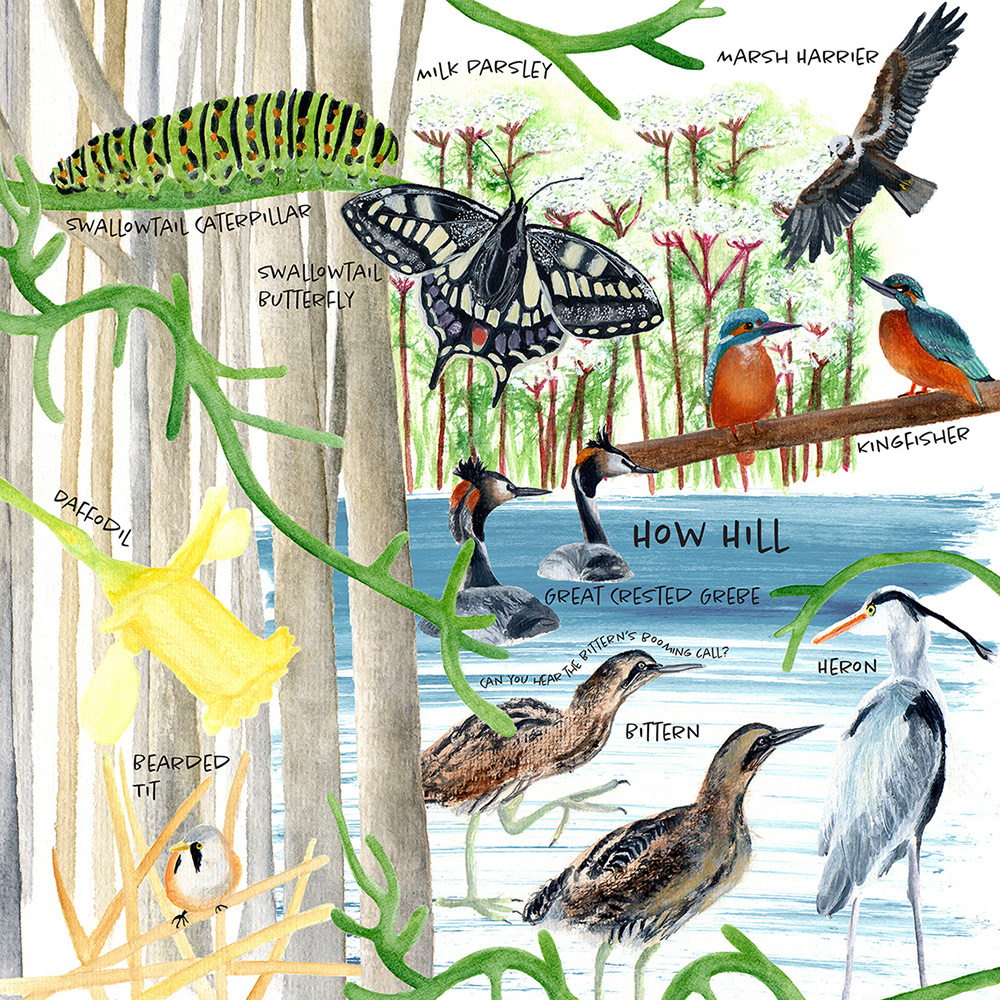 'Spot The Broads' Booklet Page Design