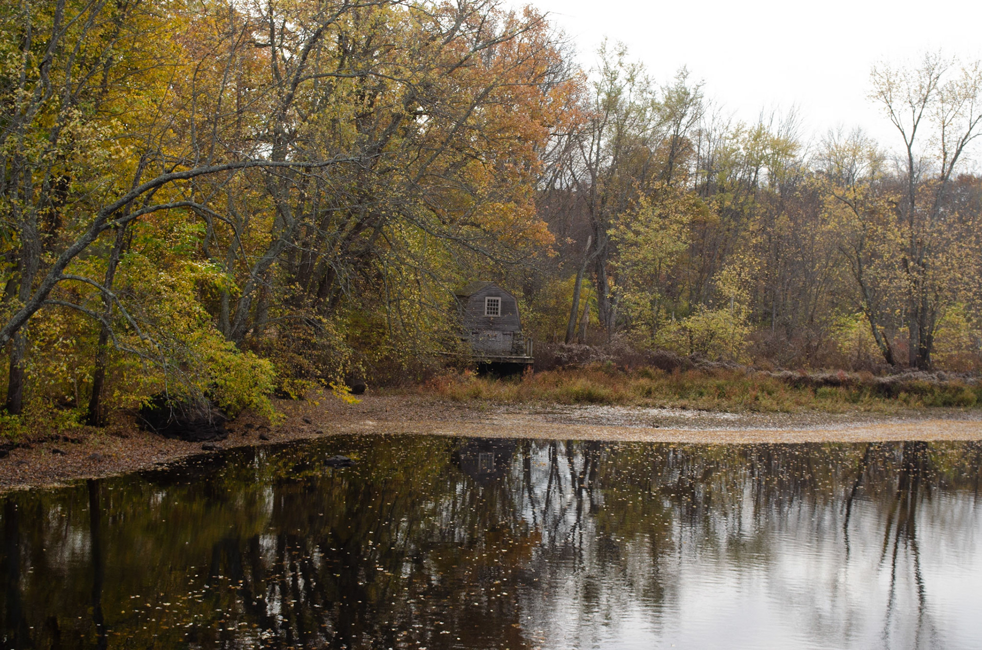 5. Concord River bank and log cabin on Sunday, October 25, 2020. Photo by Hannah Lee. 1/250 f8 iso 400