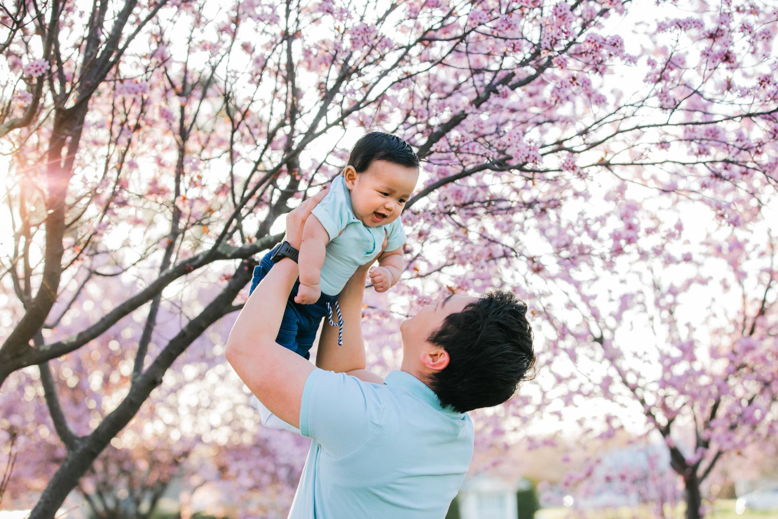 Family photo session in Canberra in the beautiful cherry blossoms.