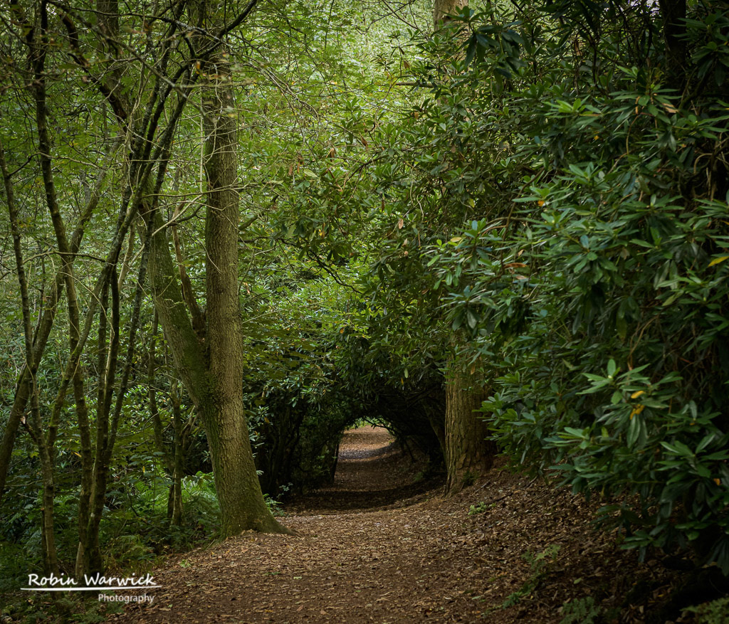 On the Road to Somewhere