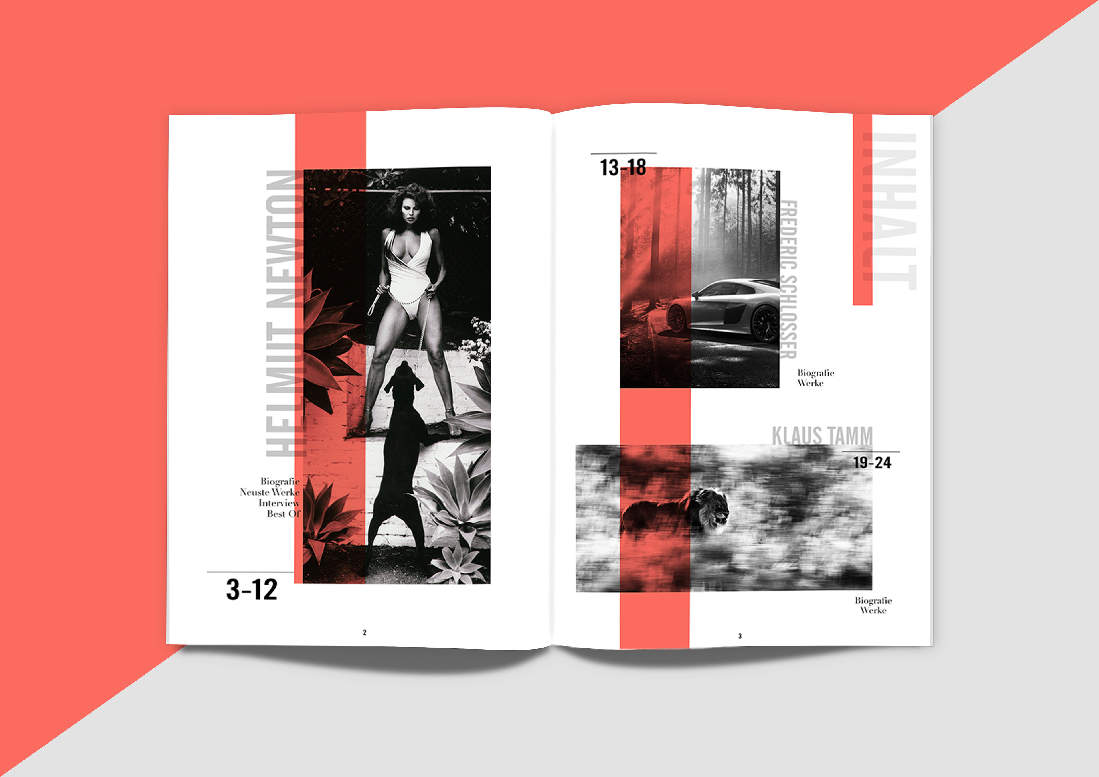 Lukas Melzer Phook Editorial Design lukas melzer