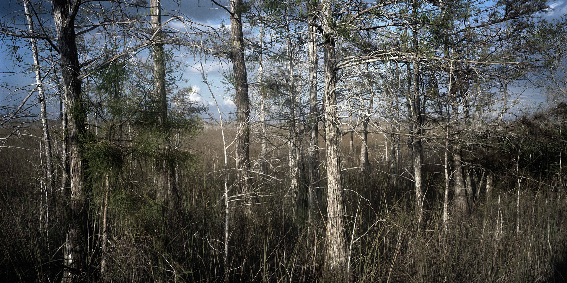 Everglades National Park, FL