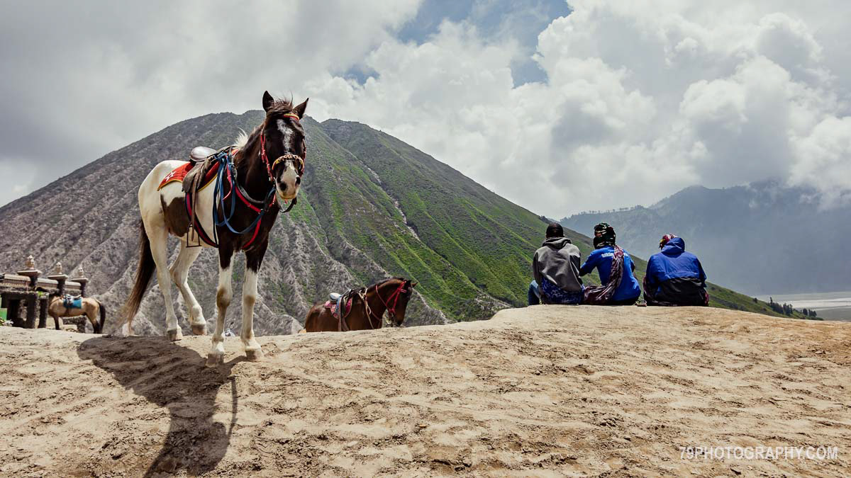 Horse Ride, Mount Bromo, Java, Indondeisa.