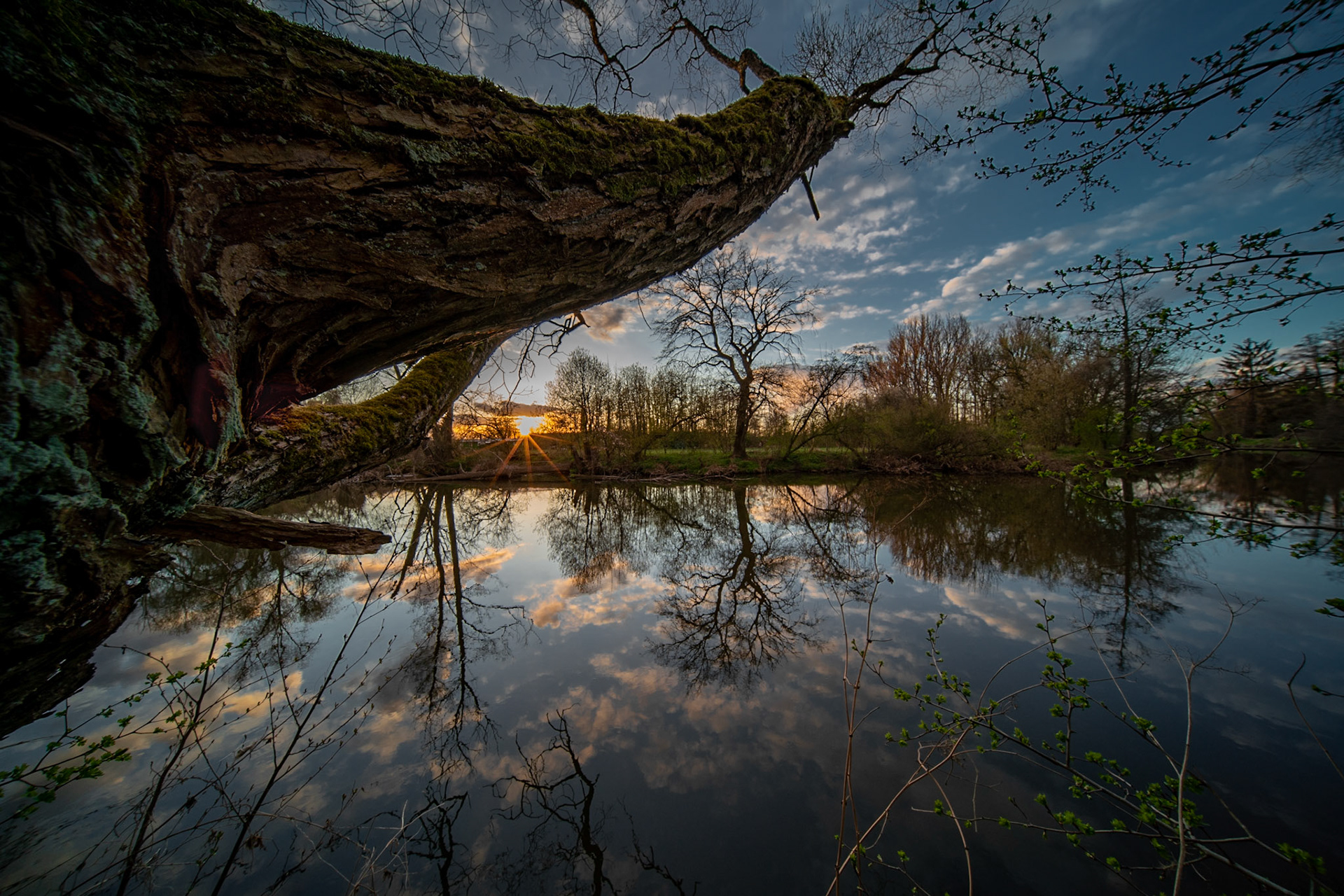 Regnitz sunset reflections