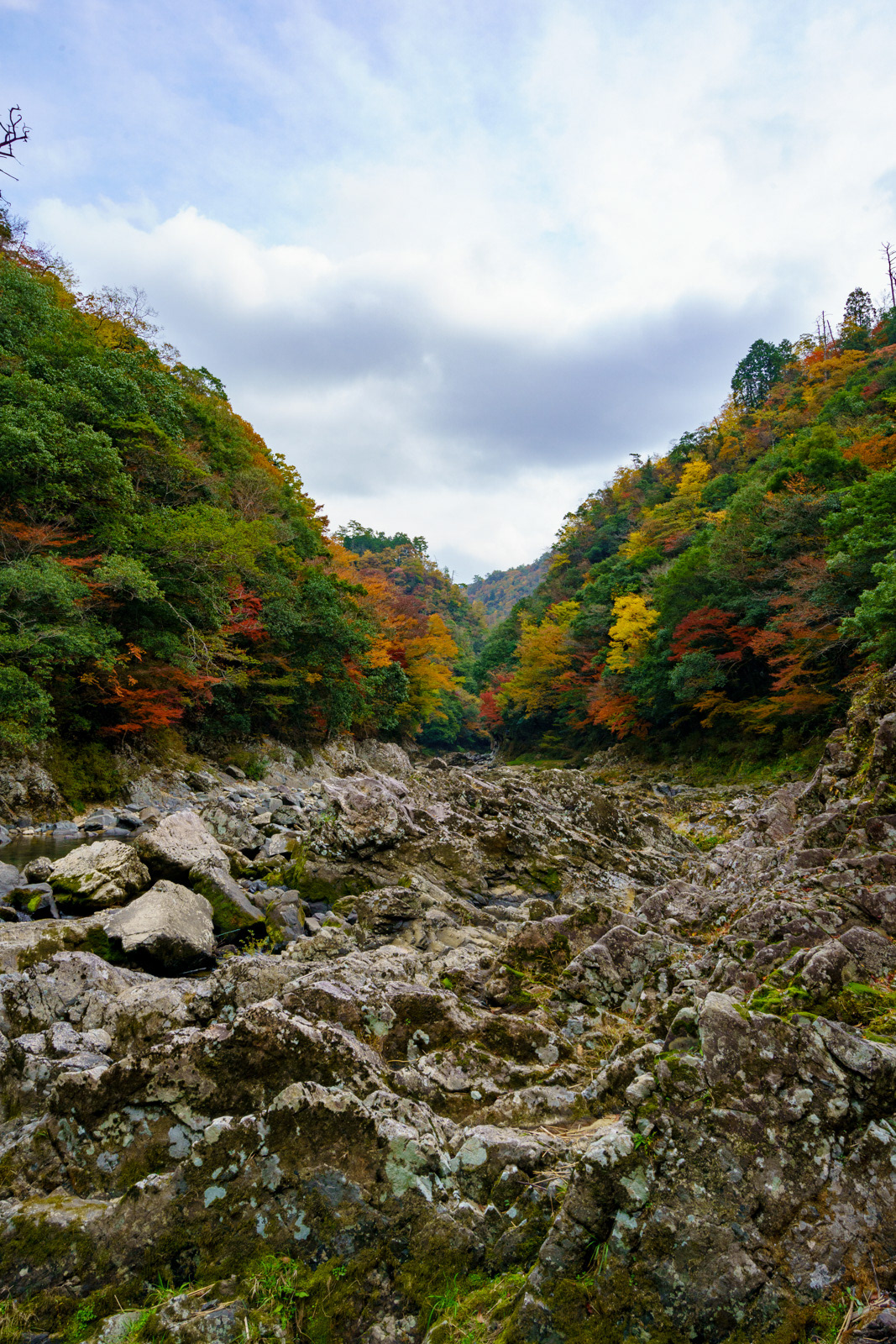 長門峡 紅葉4