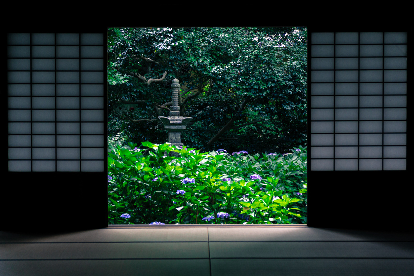 阿弥陀寺 本堂内
