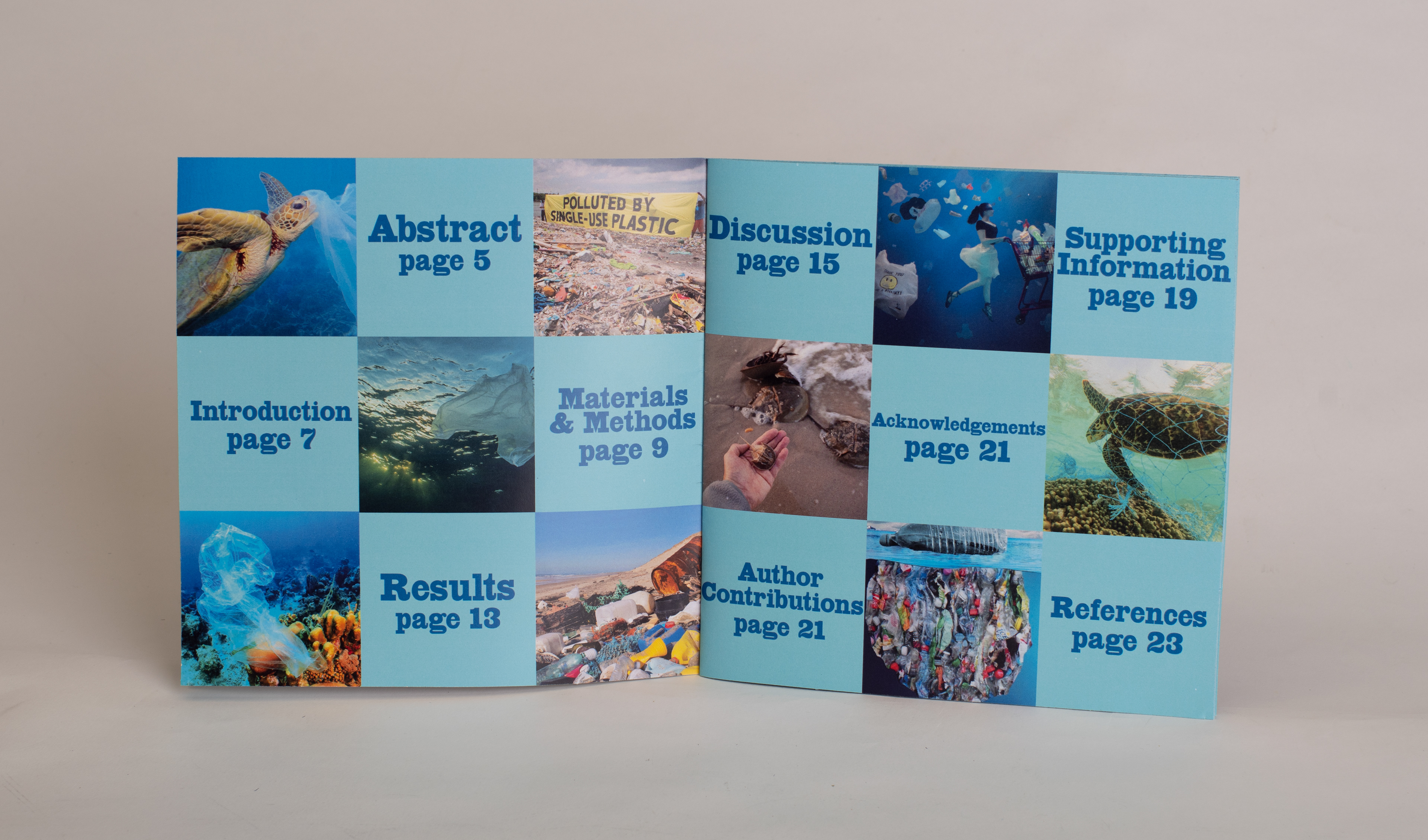 Contents spread for plastic pollution report