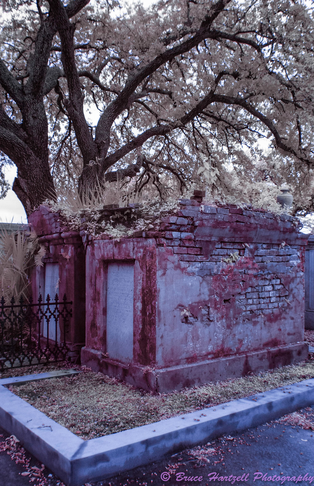 Oddfellows Cemetery, New Orleans, Louisiana. Infrared. PS, LR, Silver Effects Pro adjustments. See and share more like this at:  http://aayyeeee.myportfolio.com