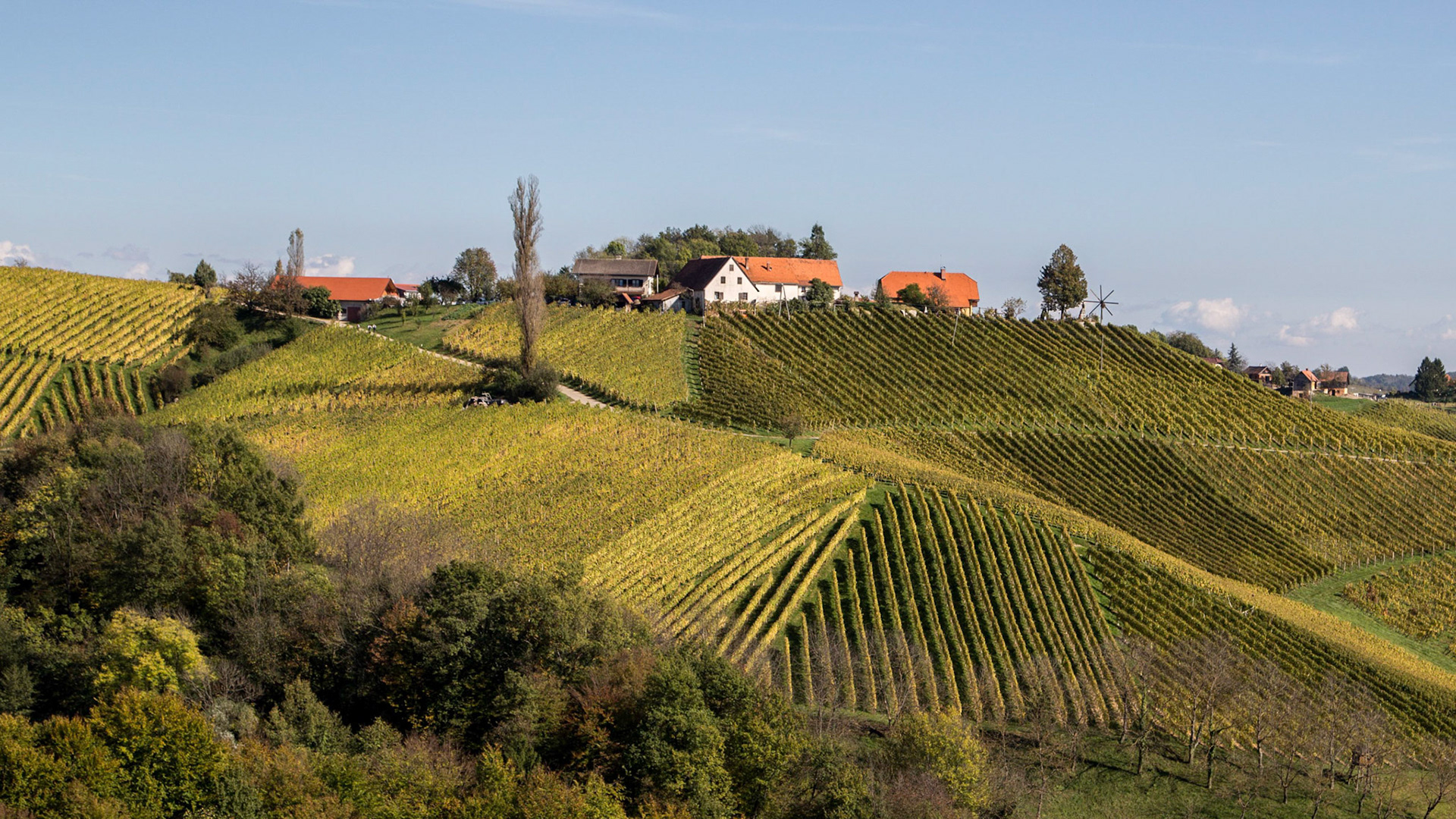 Weinstrasse / Steiermark