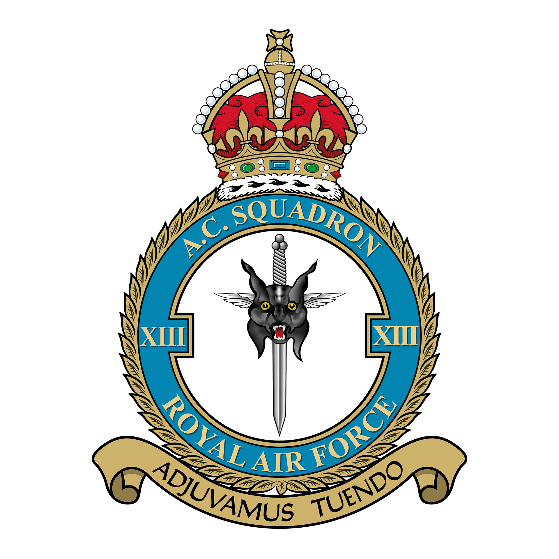 13 Army Co-operation Squadron