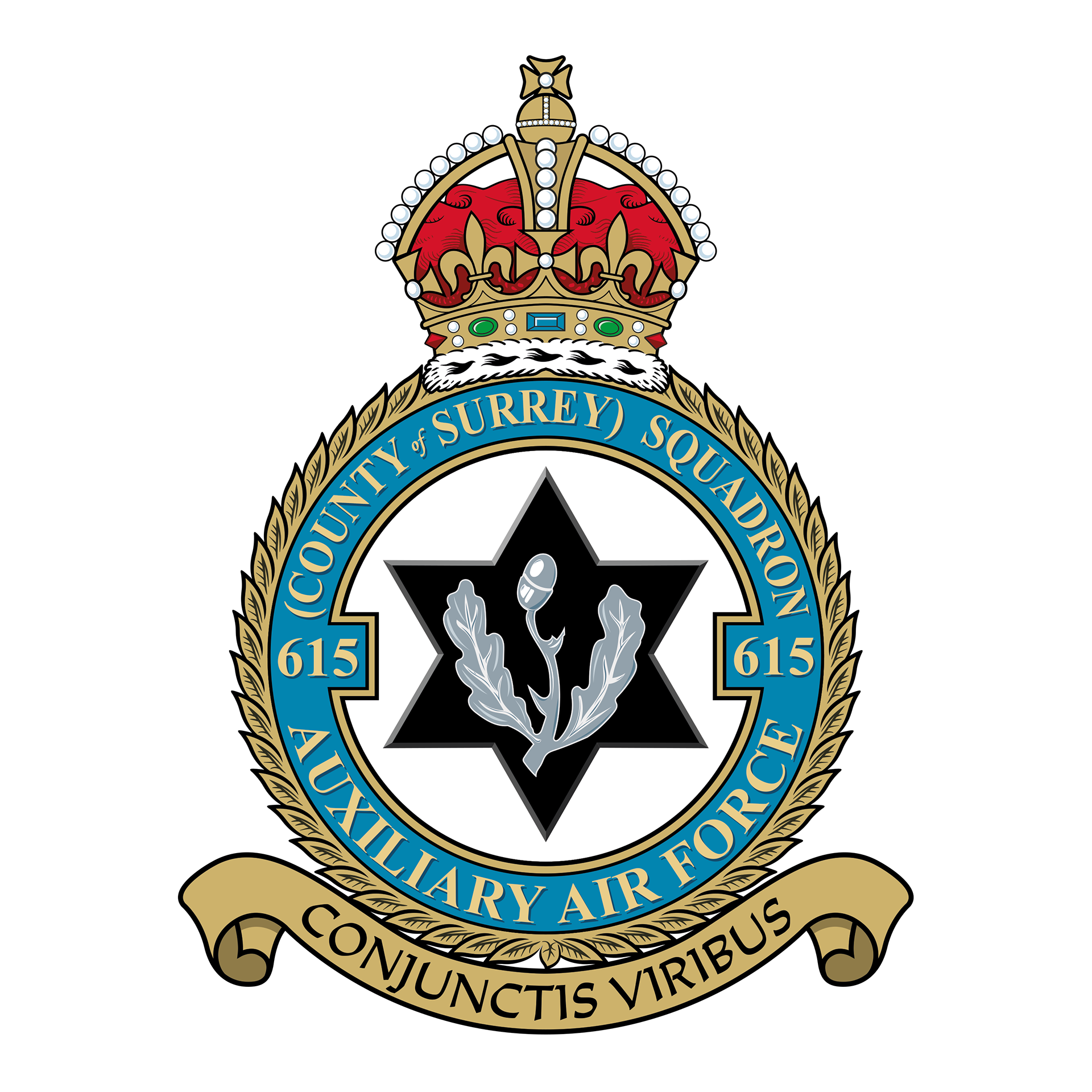 615 County of Surrey Squadron