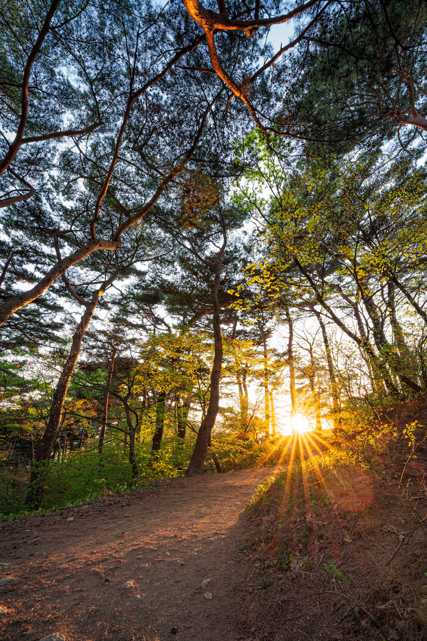 Namhansanseong, South Korea - 26 APRIL 2020: Namhansanseong Provincial Park, home to the fortress of the same name, is a UNESCO world heritage site with sweeping views of southern Seoul.