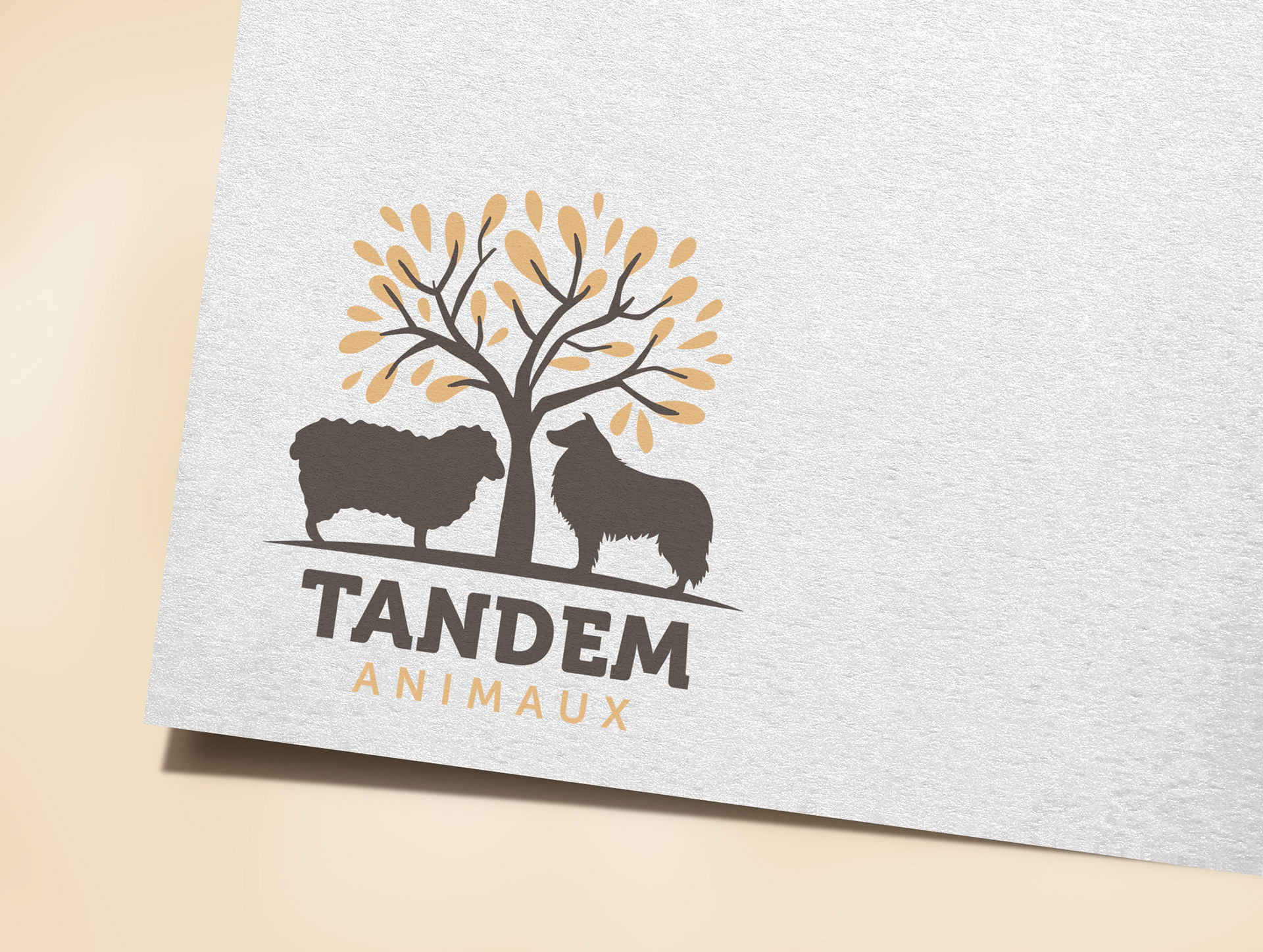 Logo Tandem Animaux