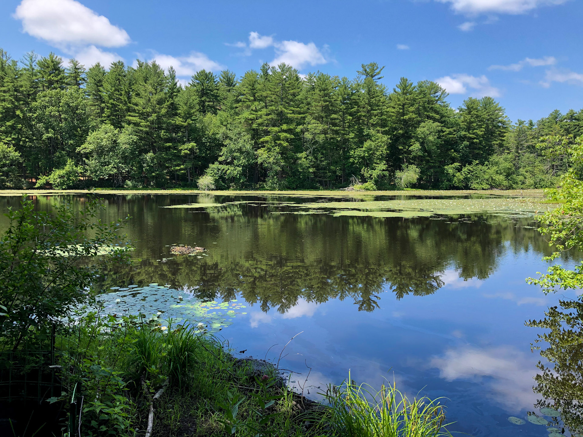 Hutchins Pond, Concord