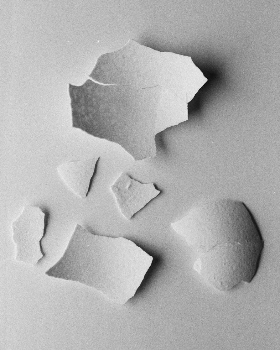 The Small Pieces on the Wall, 2020