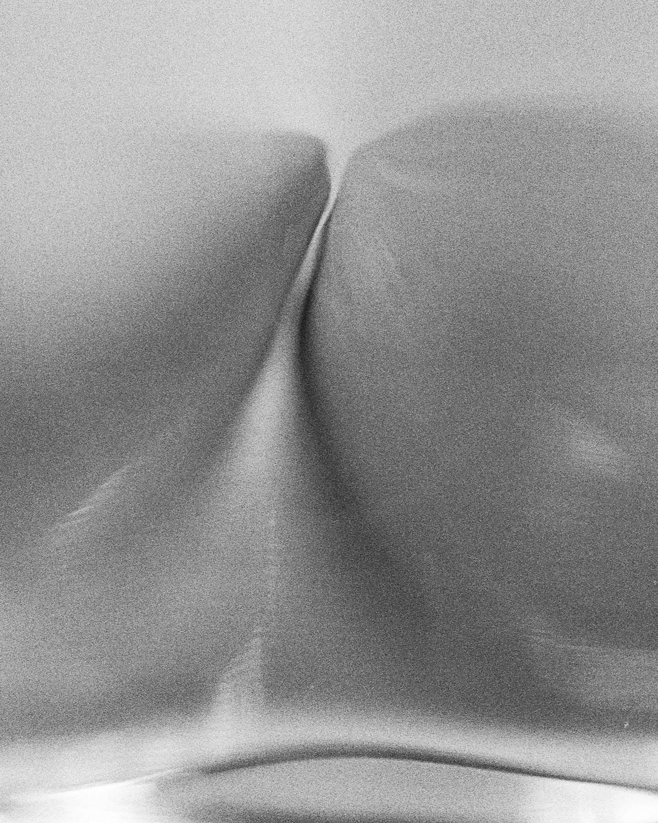 The Kiss, 2019