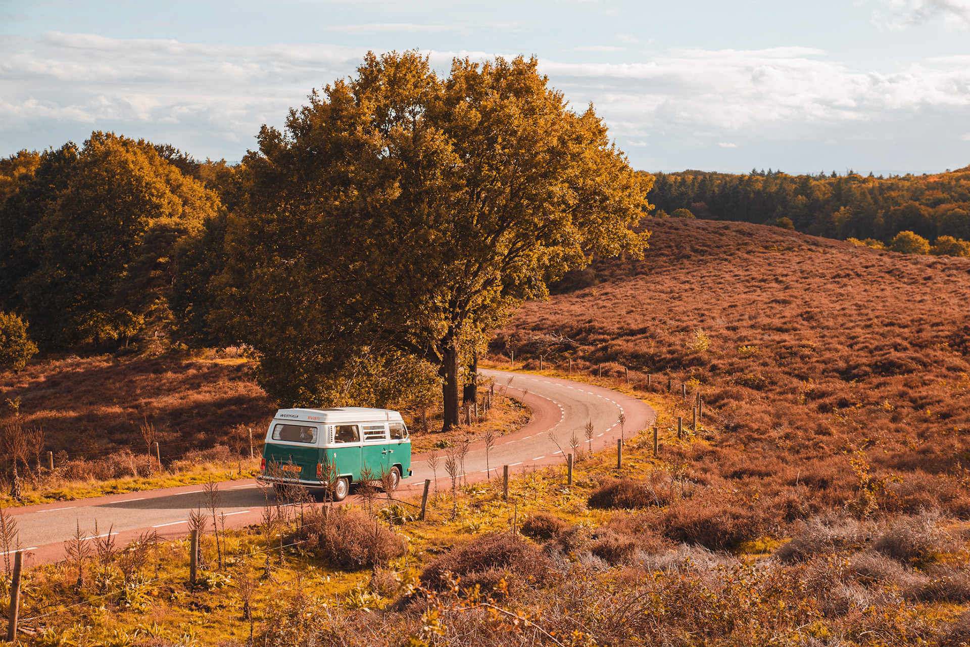 Evan Electric VW Van - Advertising