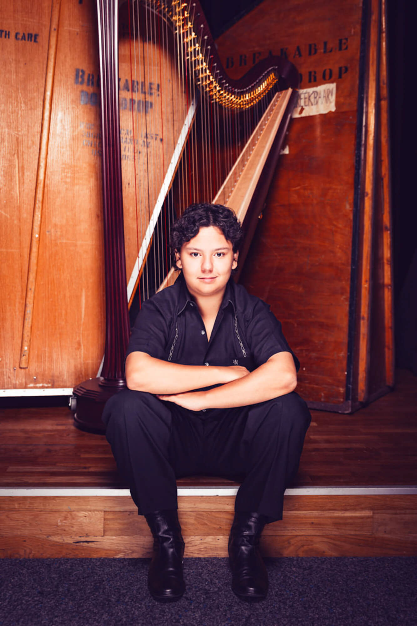 Portret voor Dutch Harp Fesitval - Jeroen Berends Fotografie