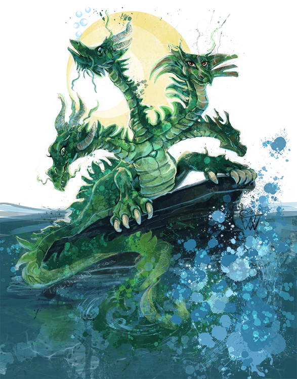 Hydra