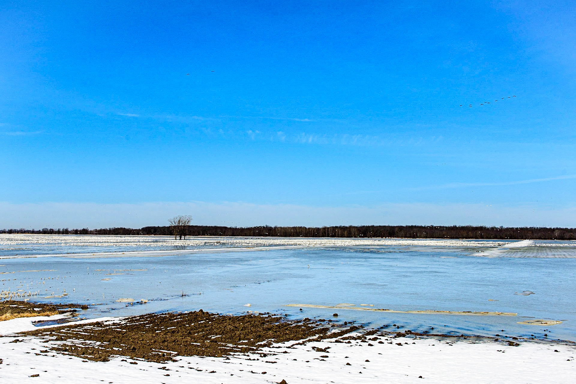 Photo © Paul Lemire ⏎ Série nature BaieduFebvre