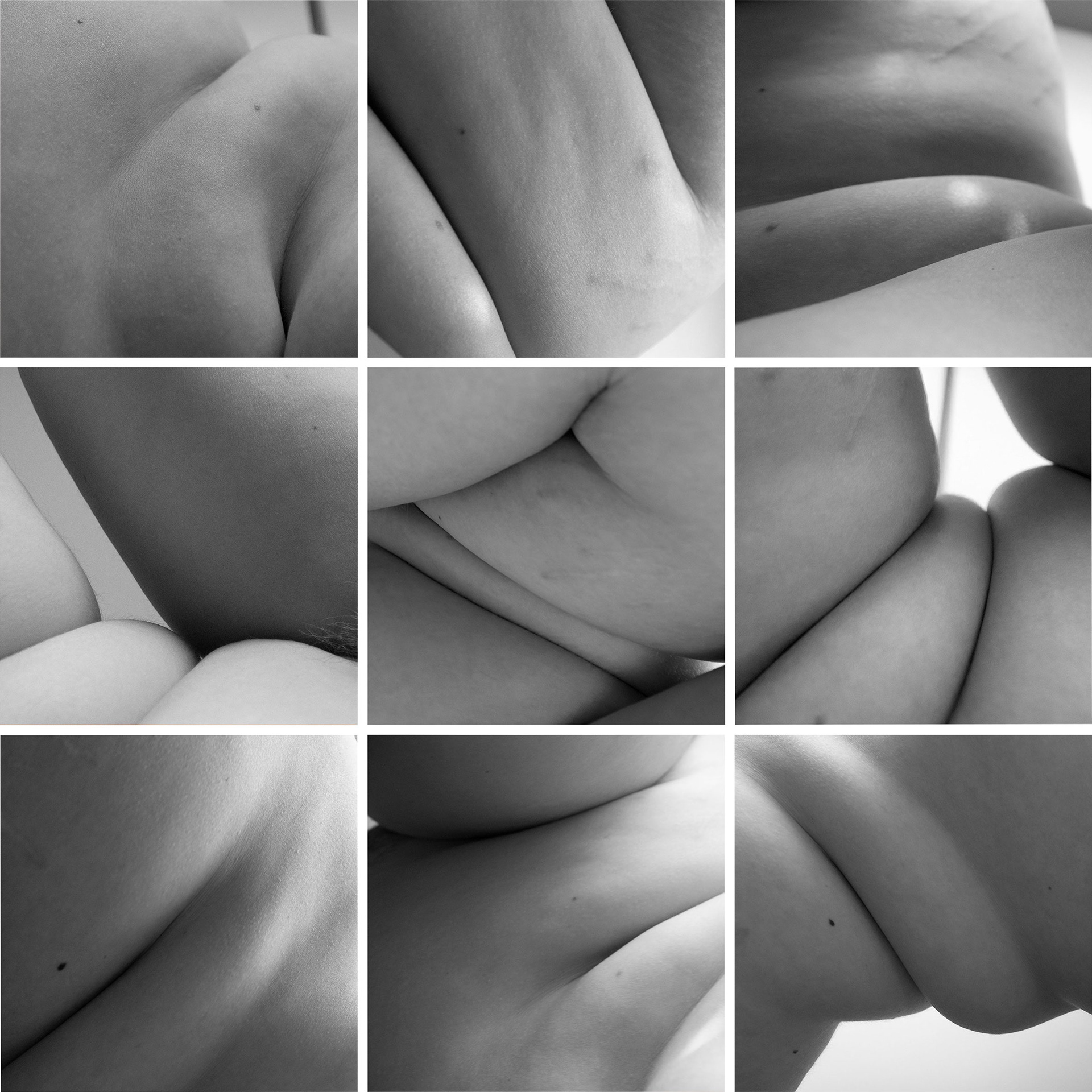 Form and Figure Study