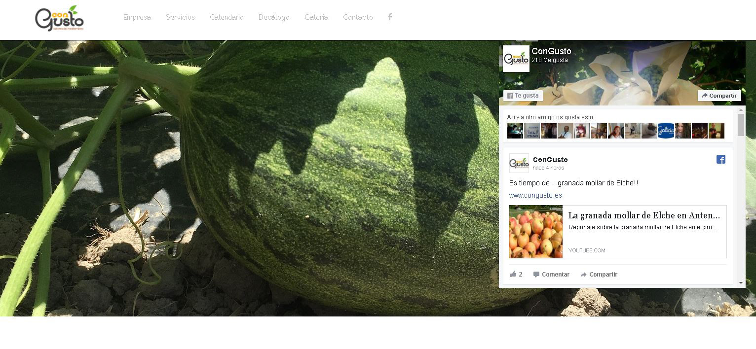 preview web congusto 