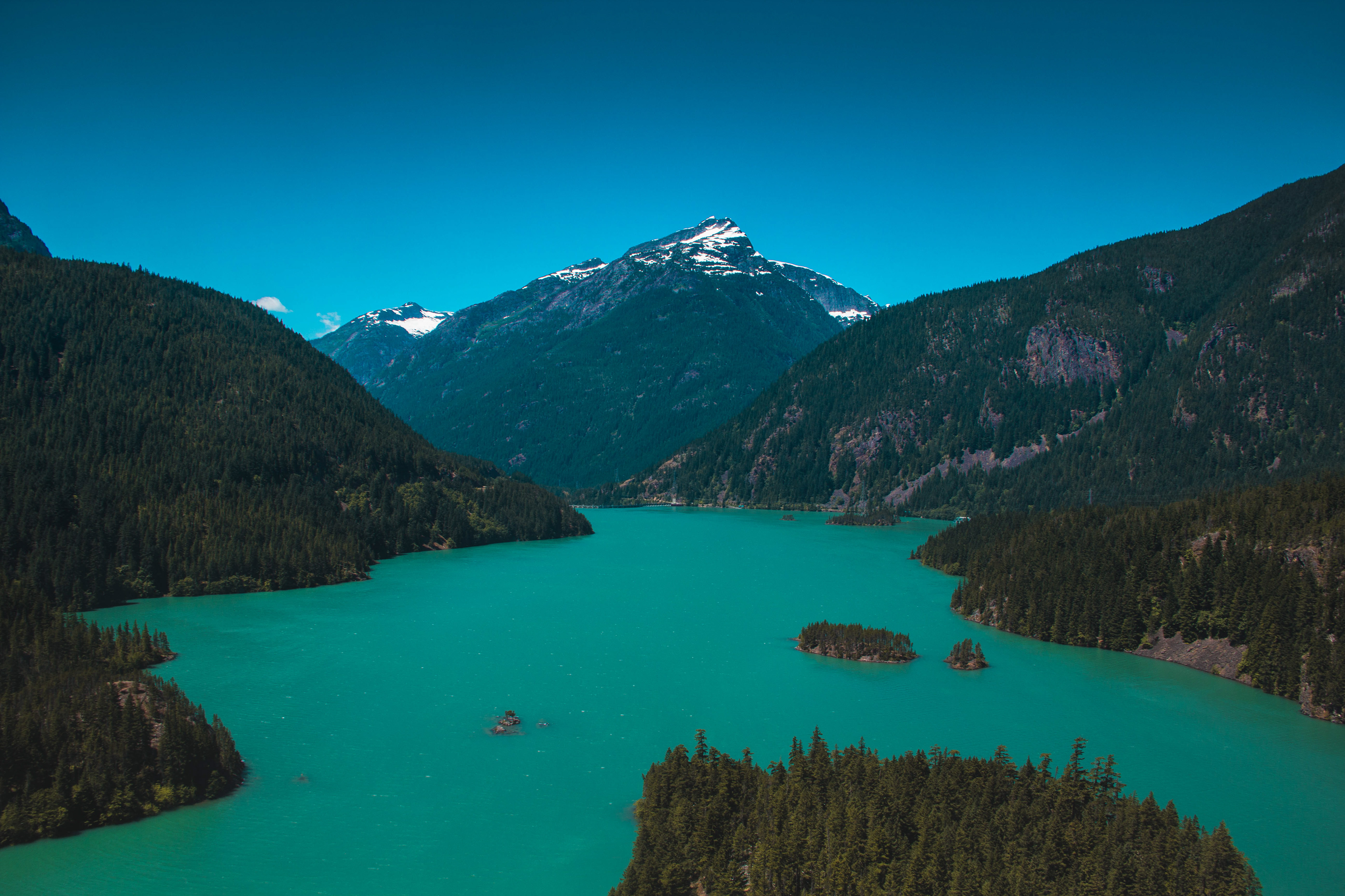 Marina Andräde Pacific Northwest Summer