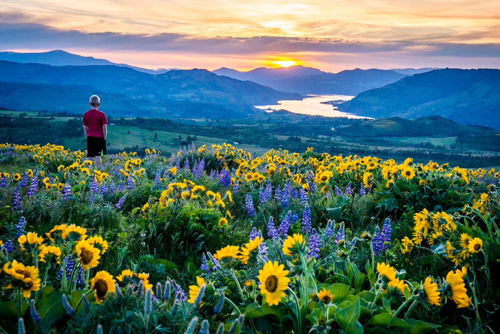 The hike up to McCall Point from Rowena Crest is really spectacular right now with hundreds of acres of Balsamroot and Lupine currently in bloom (along with many other wildflowers). This shot was taken from McCall Point looking west into the Columbia Gorge.