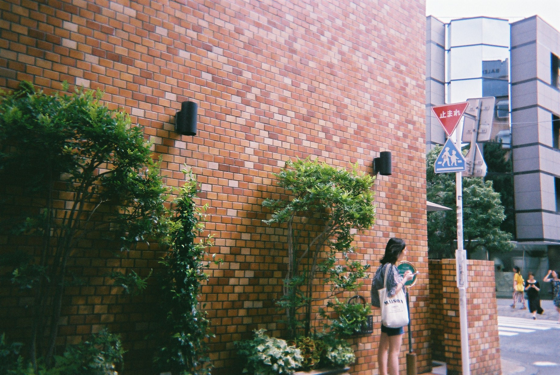 Somewhere along Aoyama