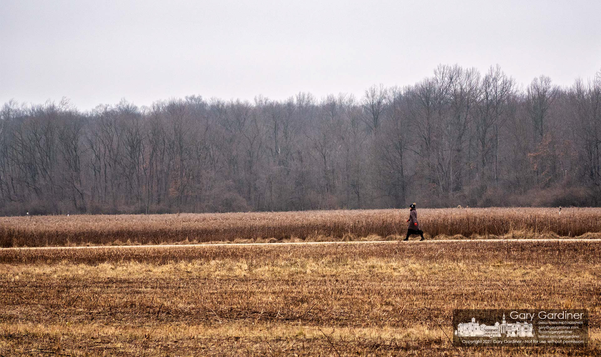 A woman walks the Spring Creek Trail across a section of the prairie at the center of Sharon Woods Metro Park. My Final Photo for Jan. 12, 2021.