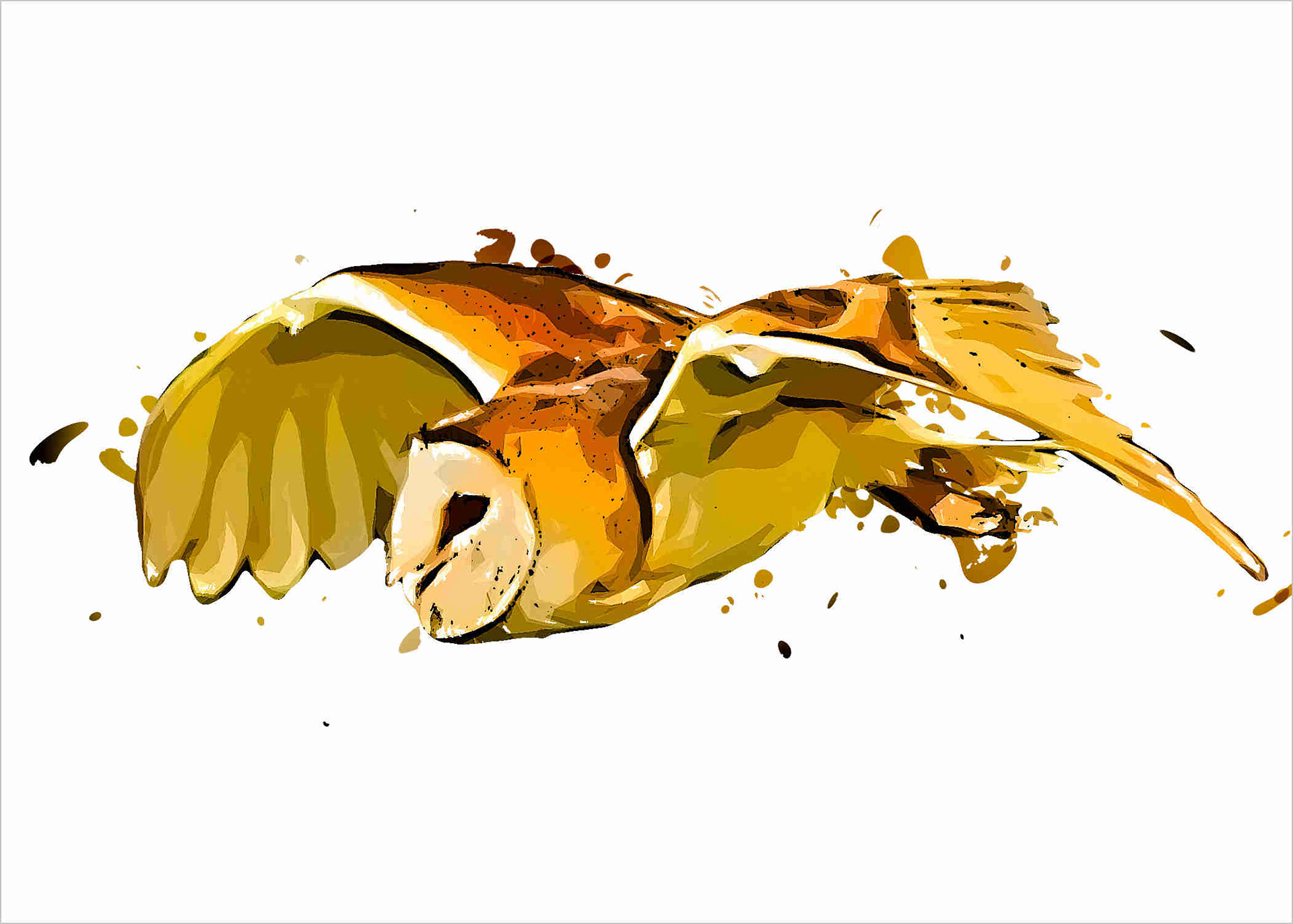 Barn Owl 910300420