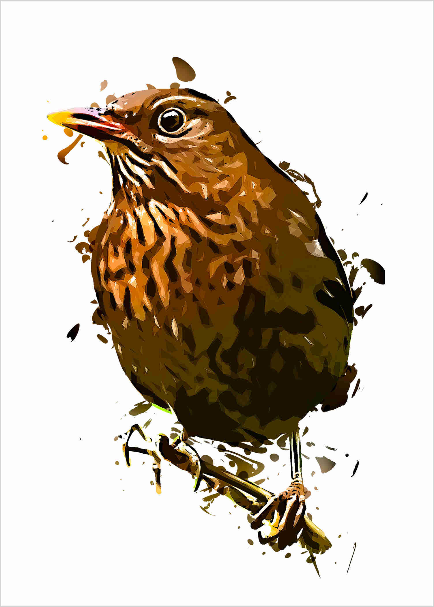 Blackbird 083000120