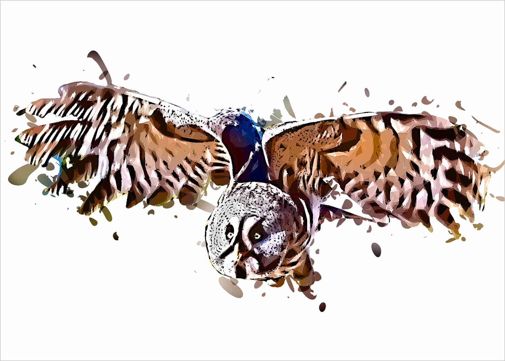 Great Grey Owl 802500520