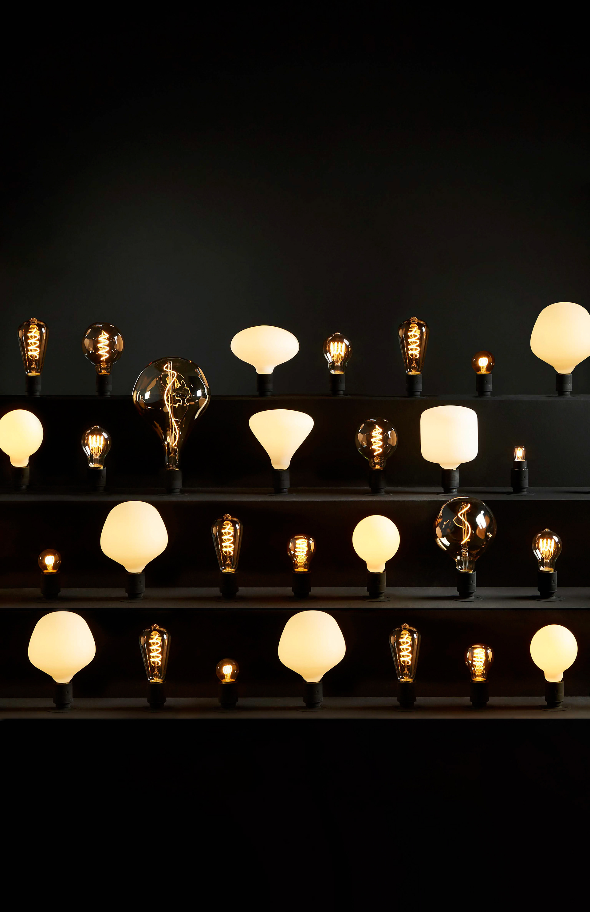 Well Lit X Conran Range