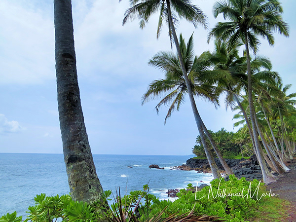 Nature by Nat Photography - Big Island Hawaii