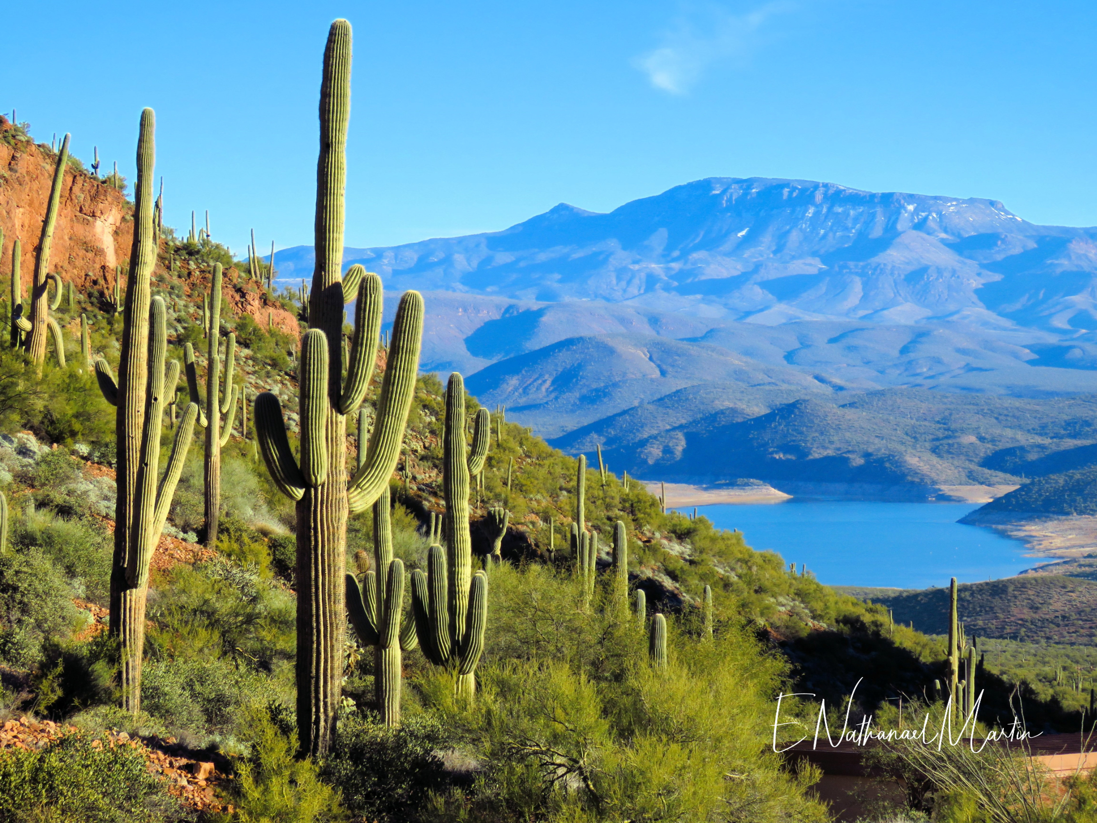 Nature by Nat Photography - Sonoran Desert