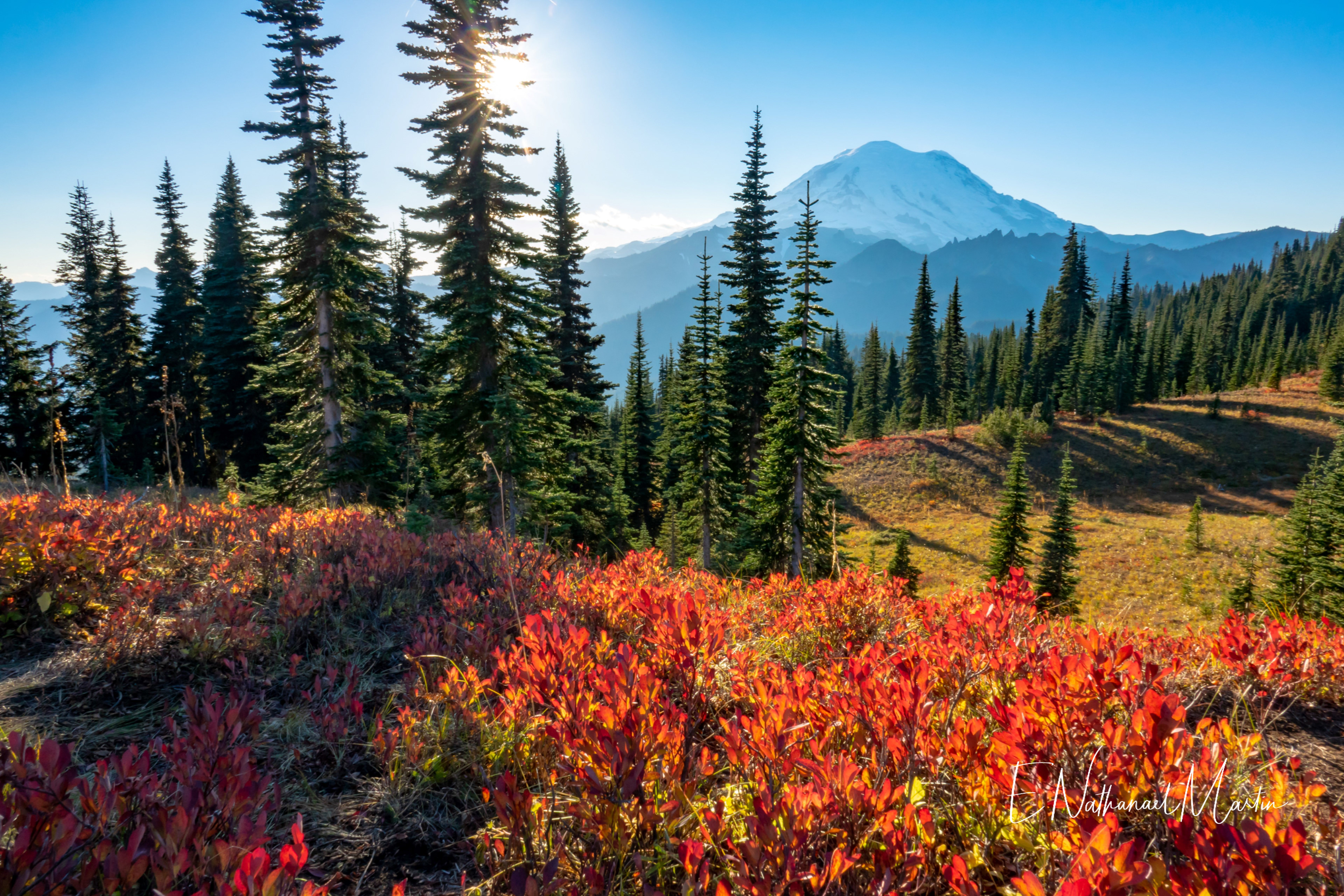 Nature by Nat Photography Rainier Fall Colors