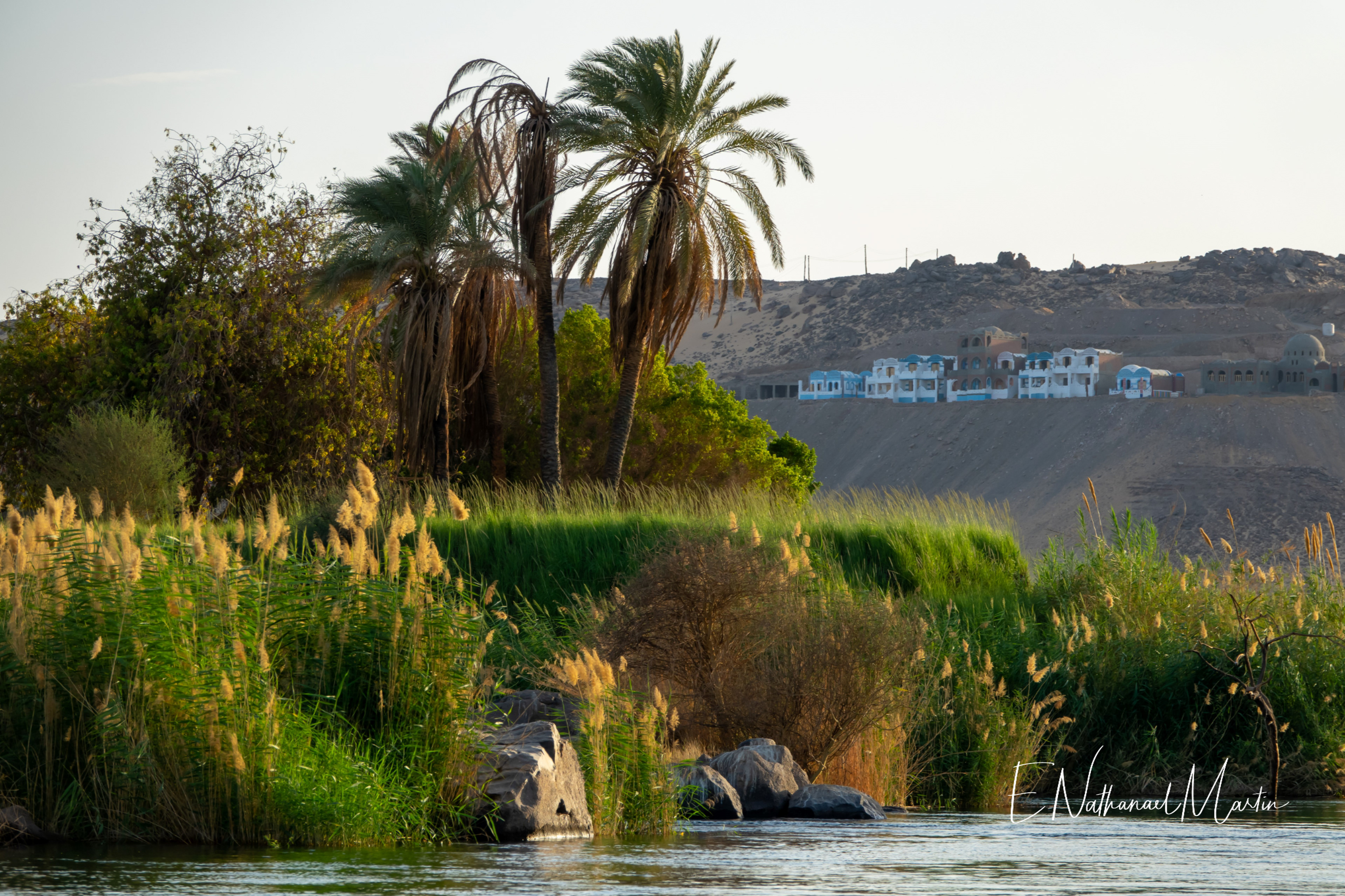 Nature by Nat Photography - Egypt