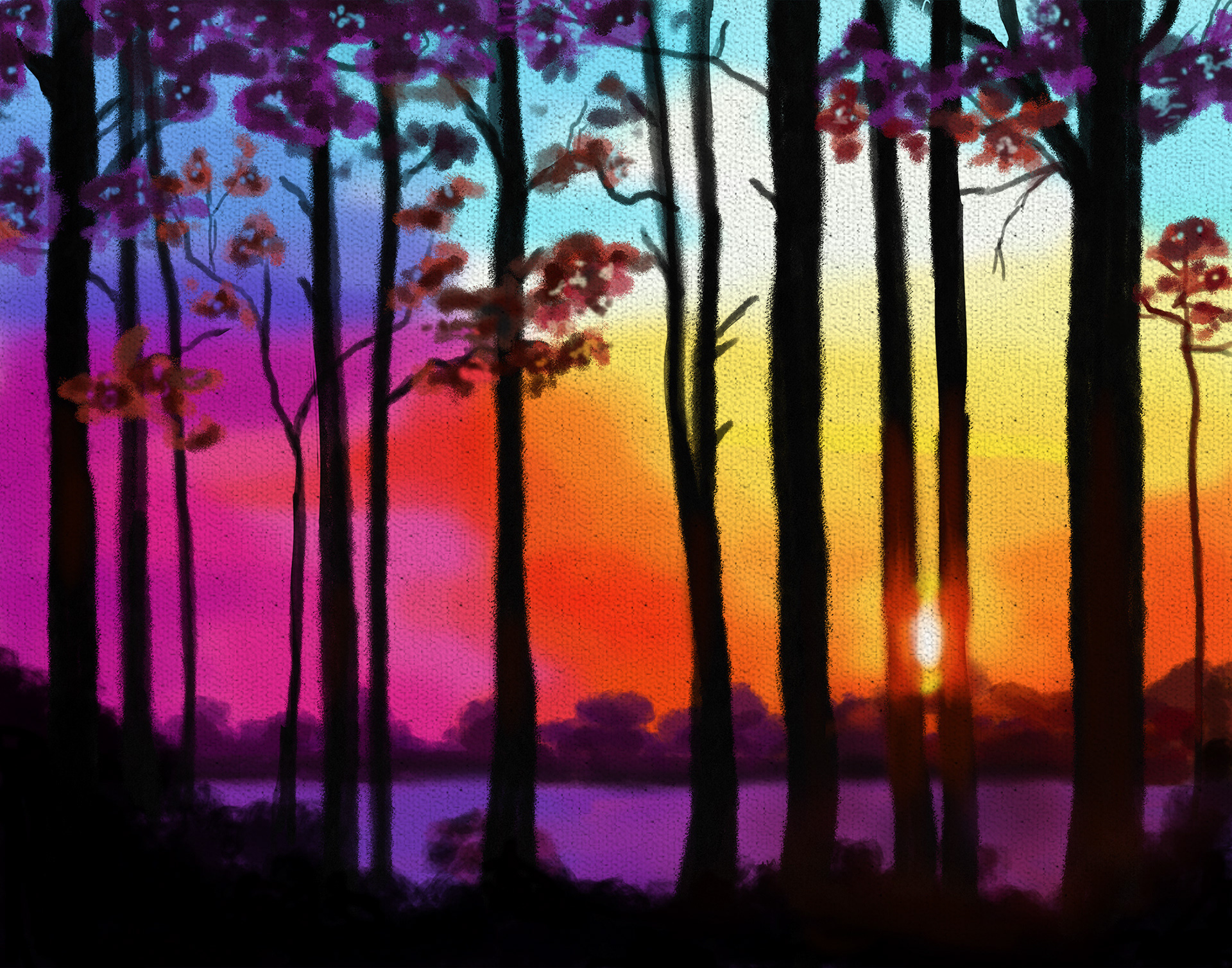 Forest Sunset