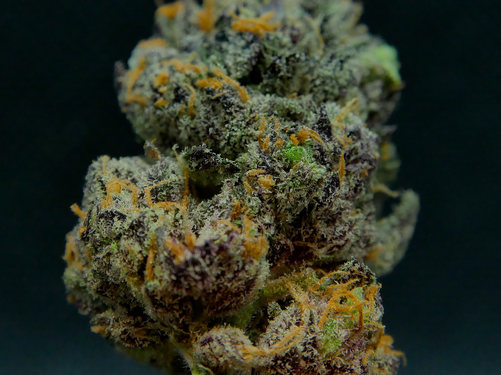Cherry Cookie Breath (Cuban Crew)