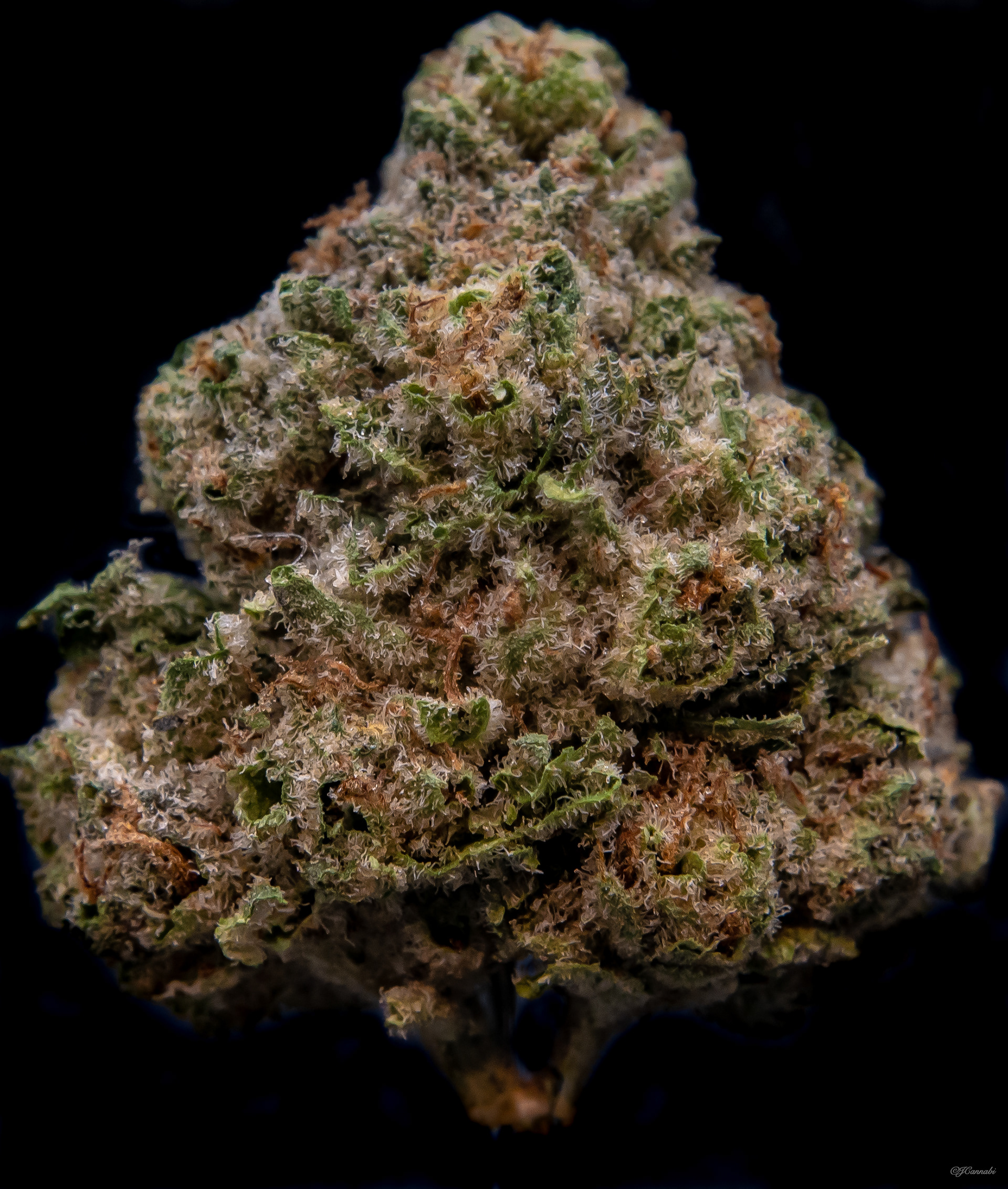 Super Lemon SMAC - Super Lemon Haze x Starfighter x Miracle Alien Cookies (Boulder Built)