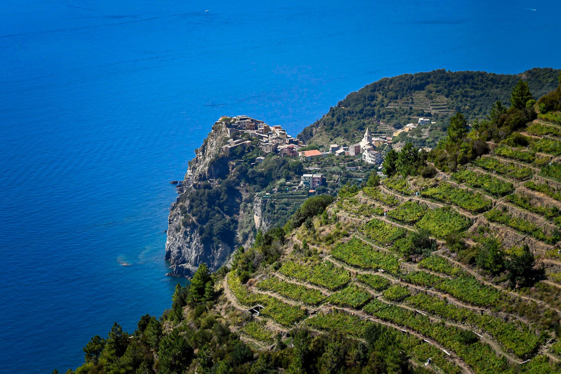Corniglia