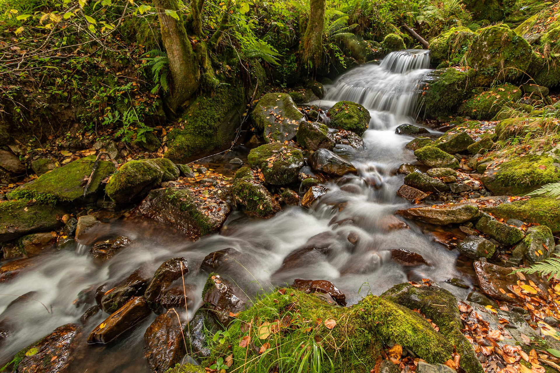Hautes Pyrénées, Vallée de Barousse